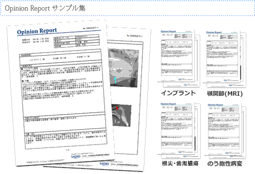 Opinion Reportサンプル